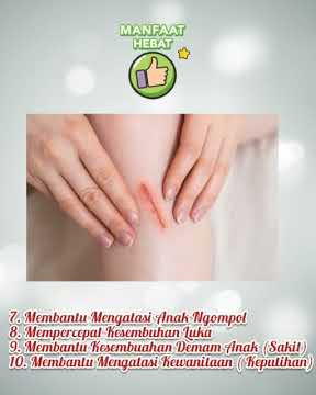 MPH Minyak Herba Pak Haji HPA International