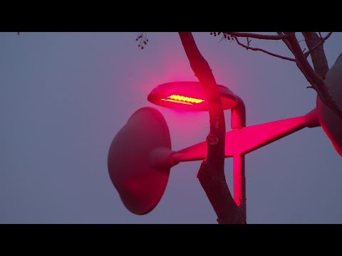 Pézenas : la ville teste un éclairage rouge sur les parkings car moins nocif pour la faune locale