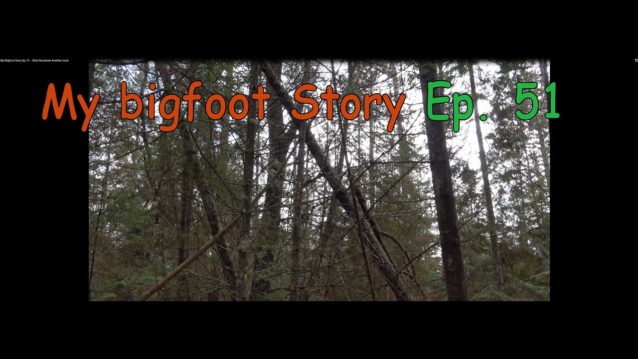 My Bigfoot Story Ep. 51 - Stick Structures Another Look