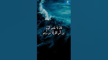 #قران_كريم #تلاوة_خاشعة #الشيخ #عبدالباسط_عبدالصمد #قناة #البشرى #القرآن_الكريم #قرآن #كريم #سورة