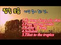 팝송 모음 바람 불어 좋은 날 팝송 모음 바람 불어 좋은 날