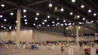 20090716 Tamale AKC FAST NOV - Q
