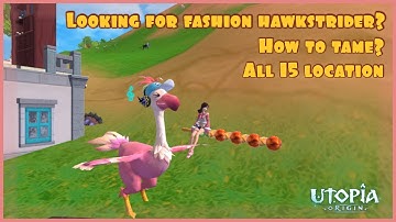 All 15 spot location the hawkstrider for finding fashion hawkstrider utopia origin