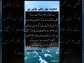Machili ko urtay parinday say Mohabbat hojye to....🐟🕊️🥀🥀🥲|||| #watsappstatus #sad #emotional #yt