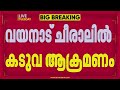 വയനാട് കടുവ ആക്രമണം, പശുവിനെ കൊന്നു | Wayanad | Forest Department