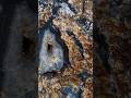 PACIFIC BLUE #arizona #agate self collected #youtubeshorts #music #viral #music #shorts #u2 #90s
