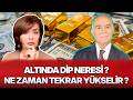 ALTINDA DİP NERESİ ? NE ZAMAN TEKRAR YÜKSELİR ?
