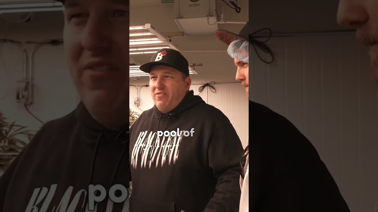 Old school strains!♻️ 