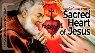 Chaplet of Sacred Heart of Jesus - Padre Pio's favorite Prayer ᴴᴰ
