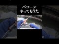 バゴーン。やってもうた