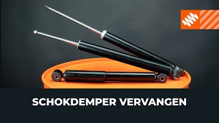 Hoe Veerpoten vervangen - videohandleidingen