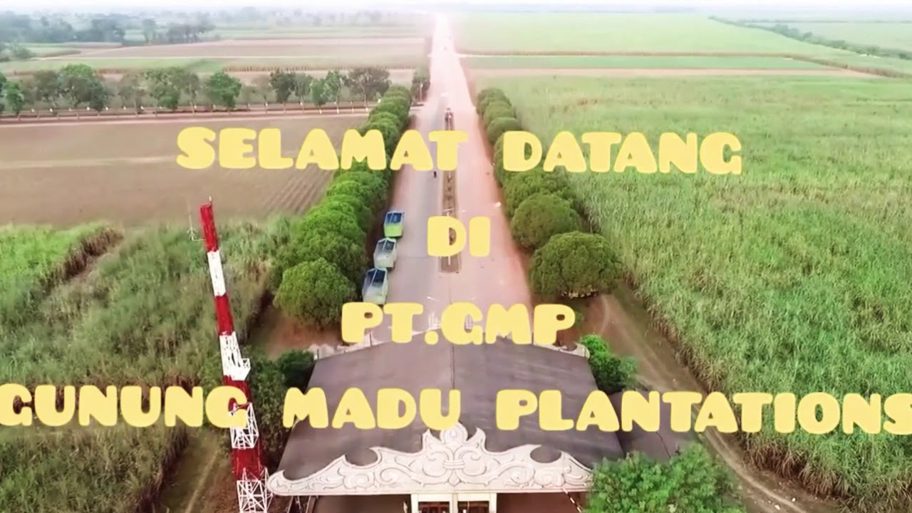 Plantations gunung madu gedung peresmian dirut kadiv bersama serta Plantations gunung madu gedung peresmian dirut kadiv bersama serta