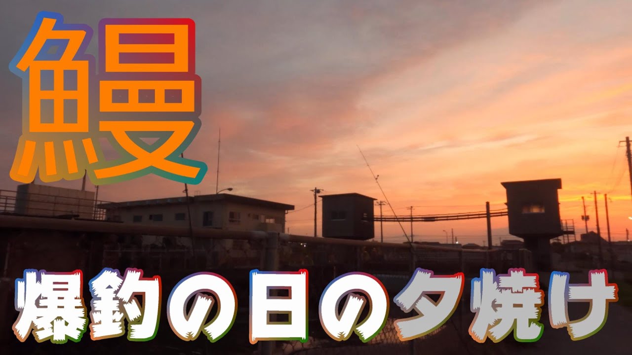 釣れる日の夕焼けはこの色だ 房総でうなぎ爆釣の回 千葉県の全部の川でうなぎを釣るシリーズ 22弾 前編 Youtube