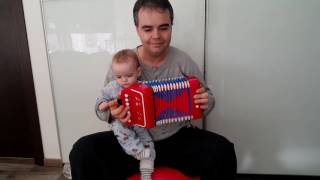 Mini toy accordion chicken bird dance