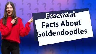 What Are the MustKnow Facts About Goldendoodles?