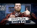 Как зайти под root в Kali Linux 2020.1? Работает в 2020.4!