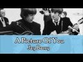 The Beatles - A Picture Of You (Lyrics)