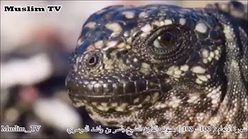 تلاوة غير عادية للشيخ ياسر بن راشد الدوسري صدقوني تُبكي القلوب قبل العيون