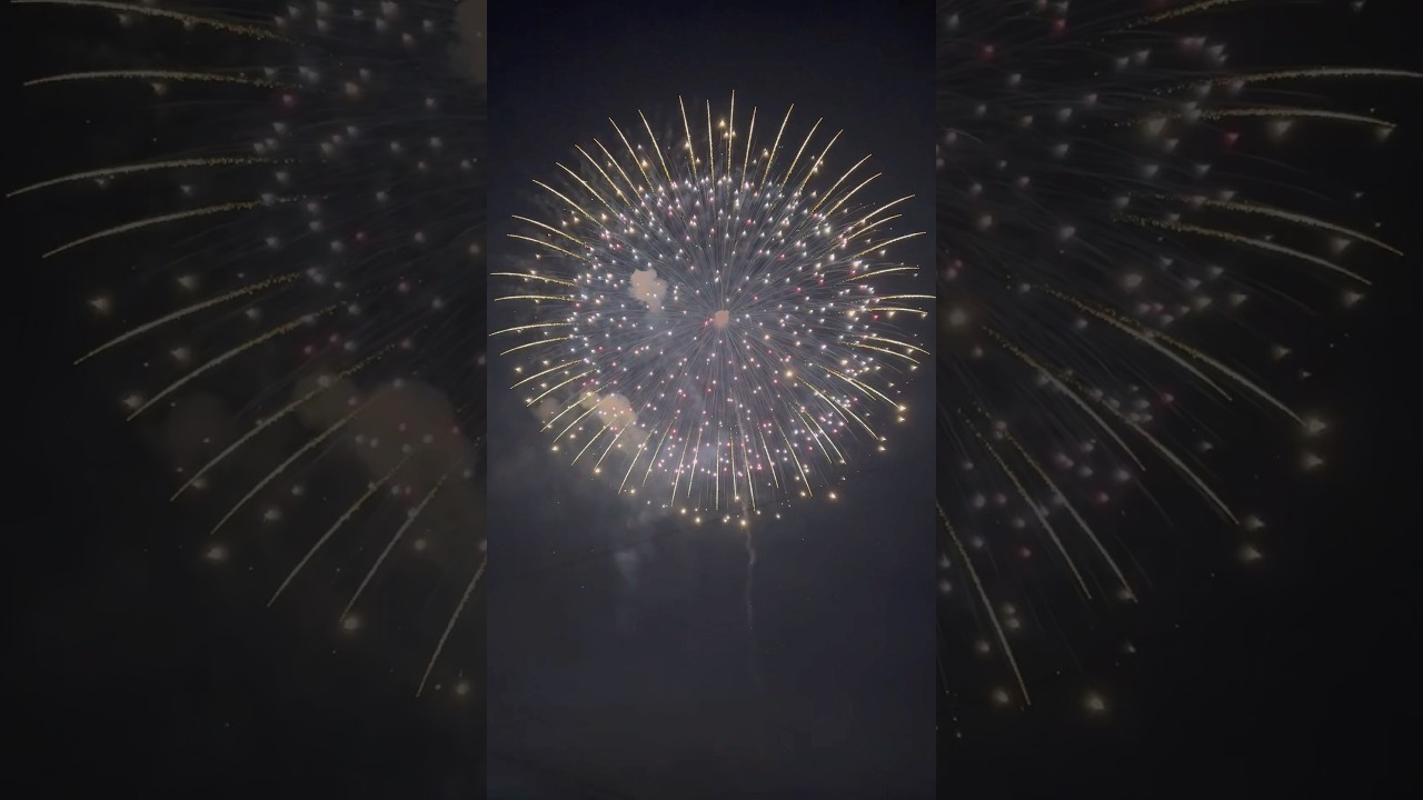 8" inch Premium Display Shells 