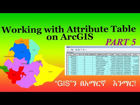 Working with Attribute