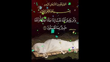 سورة المنافقون الآية ( 11 )