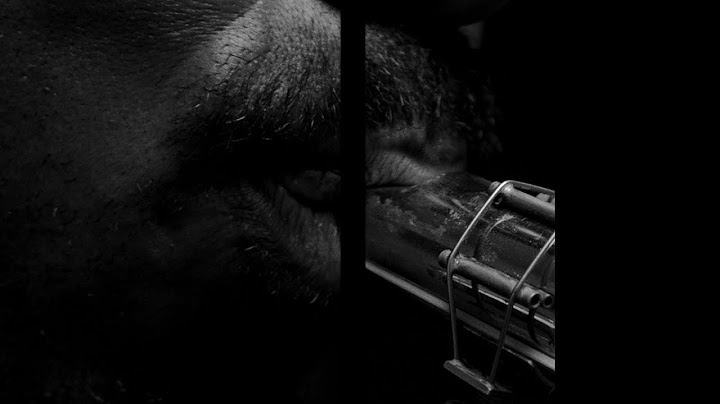 Spirit of the New TV show performance - TV Show performance video thumbnail