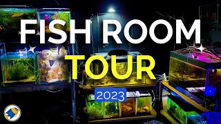 Fish Room Tour 2023 | Fish Room Update 2023