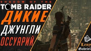 Shadow of the Tomb Raider прохождение - Дикие джунгли - Оссуарий