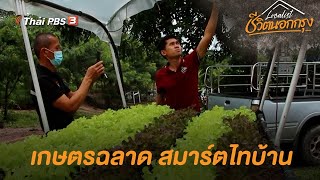 เกษตรฉลาด สมาร์ตไทบ้าน : Localist ชีวิตนอกกรุง