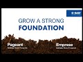 Fungicide Solutions For Fall Crop Production