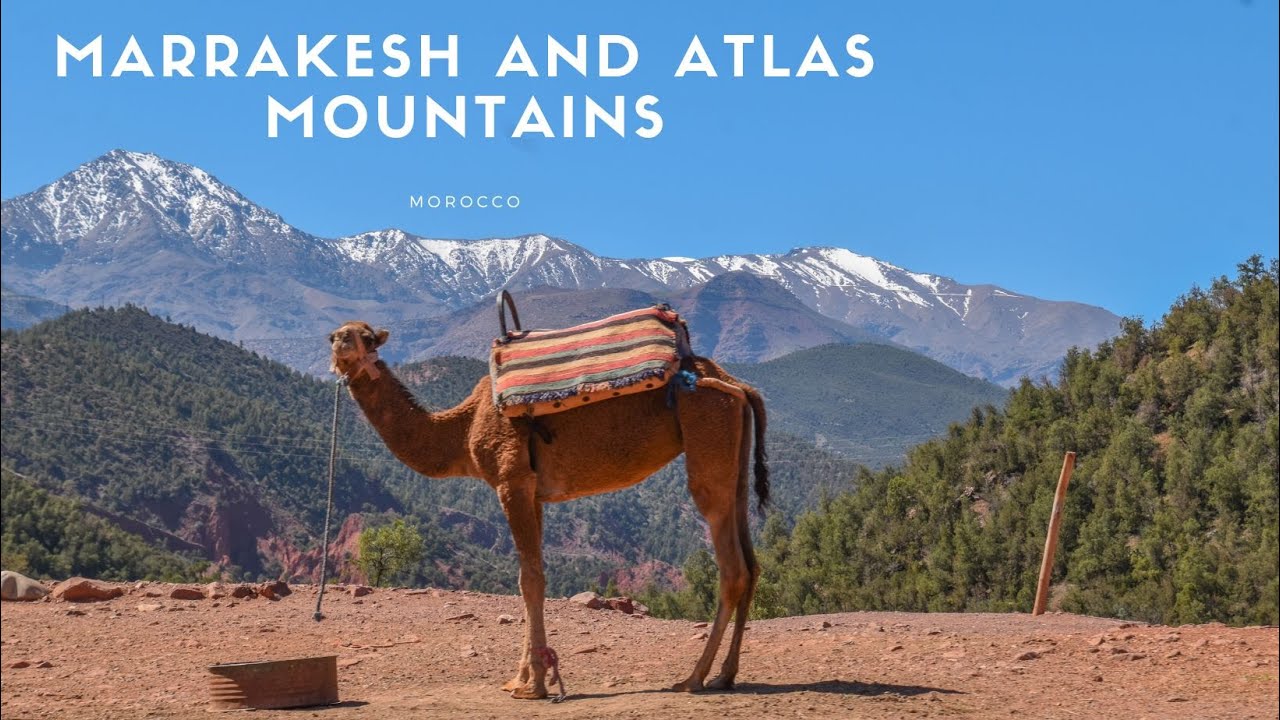 Marrakesh and Atlas Mountains 🇲🇦 - Vlog