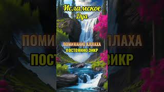Поминание Аллаха постоянно , зикр #исламдуа1 #imommhusin #