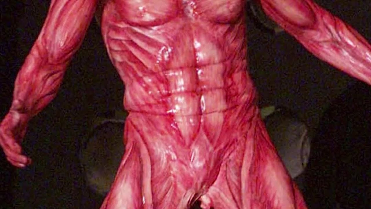 Imagine Seeing Robbie Williams Looking Like This