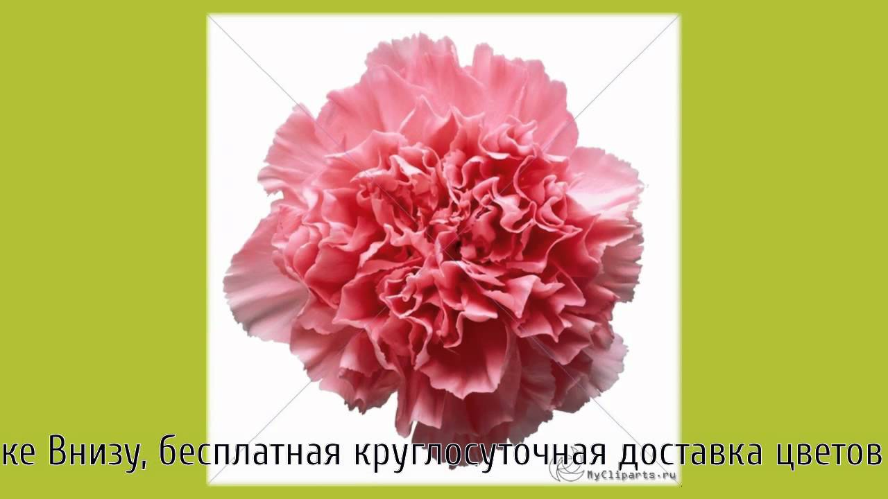 нарву цветов и подарю букет слушать YouTube