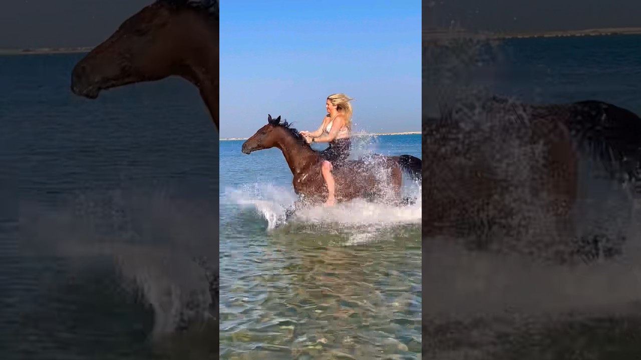 Beach horse riding 