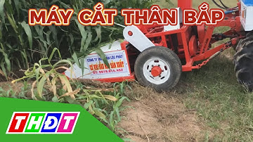 Độc đáo chiếc máy cắt thân bắp 3 trong 1 của lão nông ở An Giang | THDT