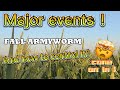 Major events  how to control fall armyworm