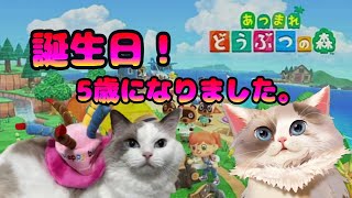 【#あつまれどうぶつの森】誕生日です！祝って！！！！＃4【新猫Vtuber】