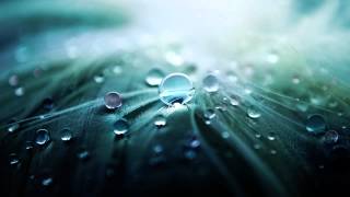 Changing Faces - Behind The Feeling Download Free