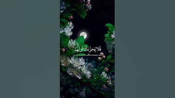 فلا يحزنك قولهم🌿 القارئ محمد هشام / تلاوة من سورة يس