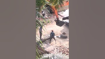 Cutting Roadside Trees for Highway Road Extension by JCB, Hitachi and Trimming Machine #shorts