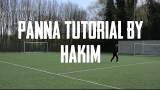 Tutorial PANNA Hakim #3