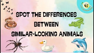 "Spot the Difference! 🦆 Duck vs Goose, Alligator vs Crocodile & More | Fun Animal Quiz for Kids"