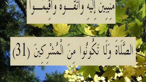 القران الكريم سورة الروم الأية 31.wmv