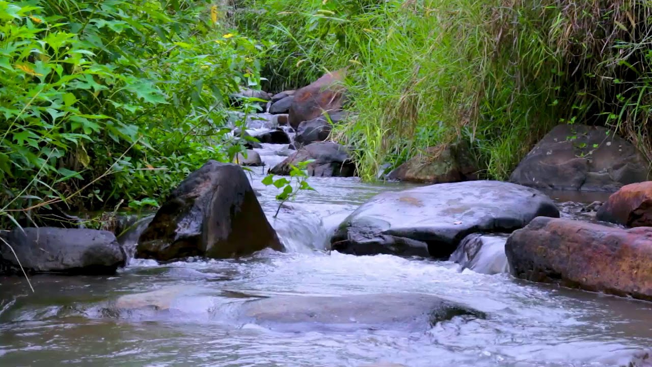 Relaxing River Sounds in Total Darkness | Deep Sleep Calm Water Ambience