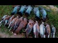 Супер охота на голубей 2016. Стрельба из МЦ-6 (стволы раструб) GoPro 4 HD 1080p. Часть 1