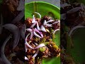 Testy testy Manchurian🤤👍#yt shorts🥰#Durgarani vlogs🙏#Manchurian👌#2025❤️‍🔥#Viral video🔥#yummy😋#Superb