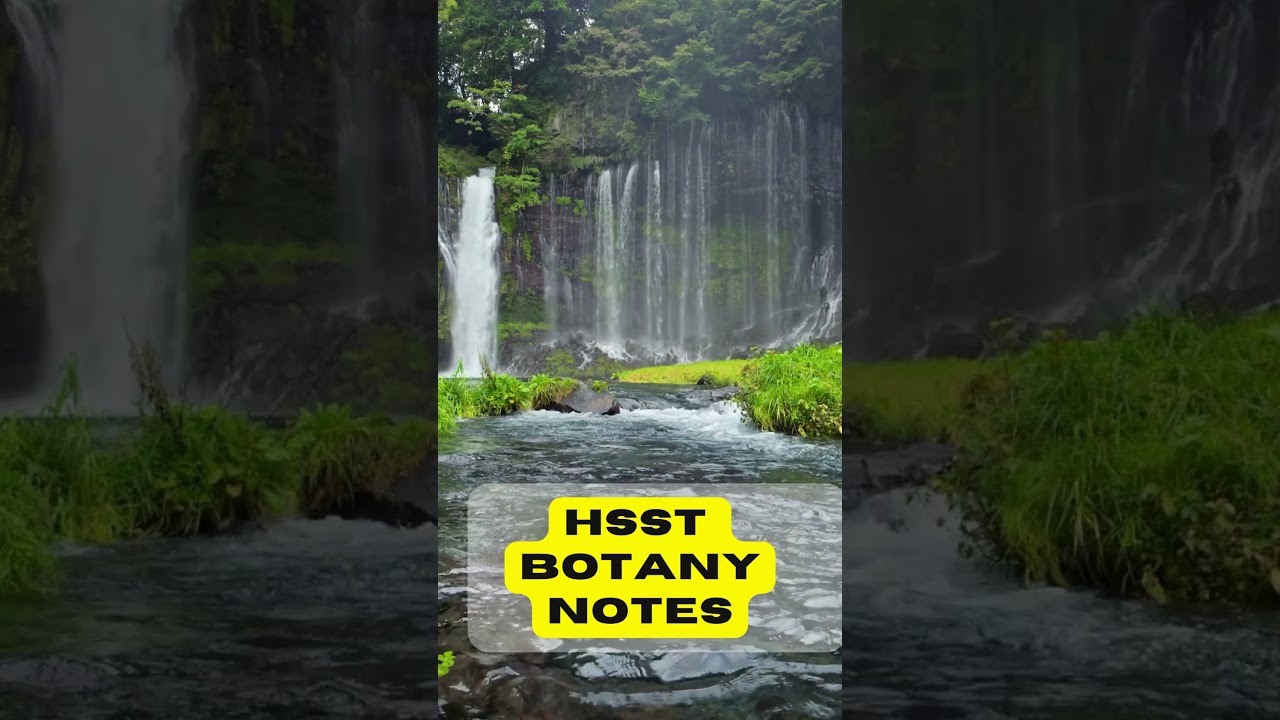 hsst botany questions and notes