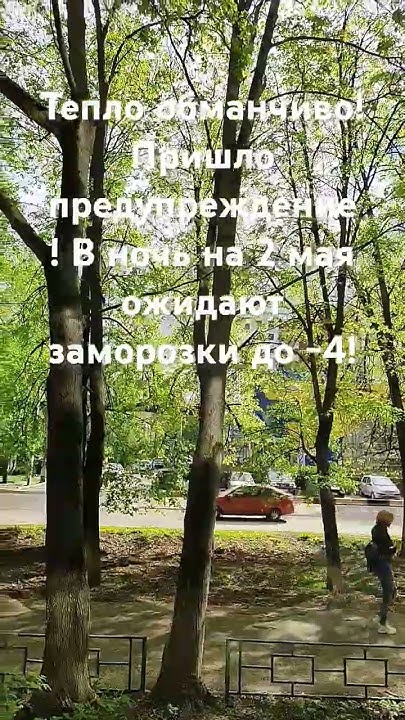 Ожидаются заморозки на 2 мая до -4 ! Дачники и огородники ,берегите ...