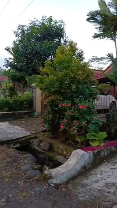 IKATAN CINTA || BACKSOUND